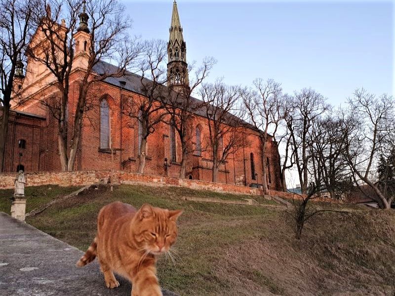 Główne Zabytki